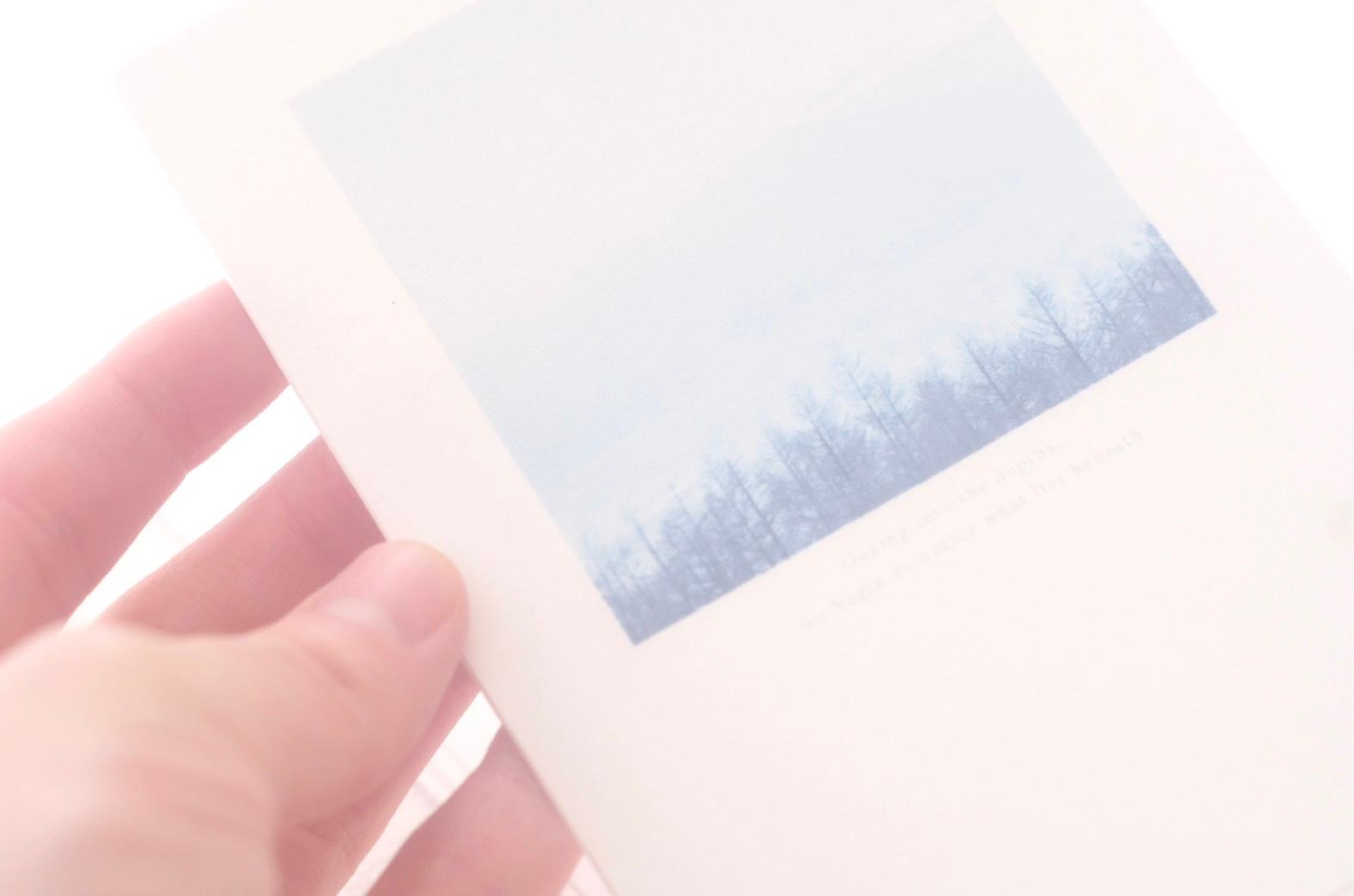 空のポストカード　樹々向こうに